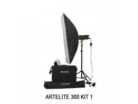 Paket Studio Golden Eagle Artelite 300 Kit 1